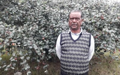 বাংলাদেশ-উইন্ডিজ-আয়ারল্যান্ড সিরিজের সূচি প্রকাশ