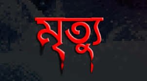 কুমিল্লায় সবুজ আন্দোলন ছাত্রফ্রন্টের জলবায়ু সংকট নিয়ে আলোচনা সভা অনুষ্ঠিত