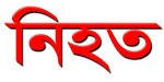 ঝিনাইদহ সদরের সাধুহাটিতে ৫০ জন বিএনপির নেতা কর্মী যোগদান আওয়ামীলীগে