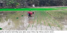 মাদক, ইভটিজিং, বাল্যবিবাহ ও জঙ্গীবাদ নির্মূলে খেলাধুলার বিকল্প নাই জাহাঙ্গীর হোসেন বেপারী