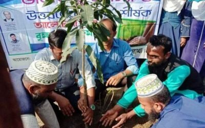 দেশের উচ্চশিক্ষা প্রশ্নবিদ্ধ!