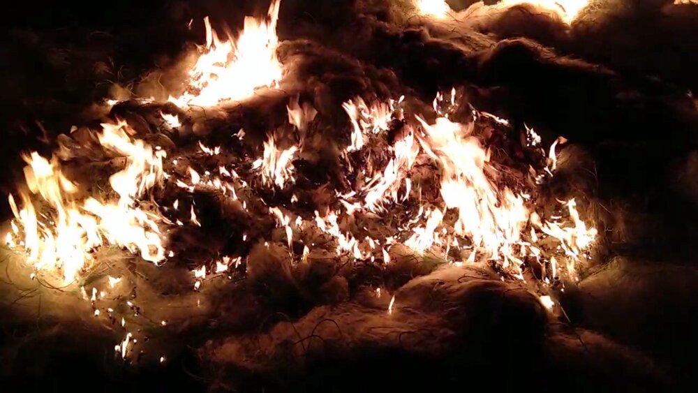 কলাপাড়ায় ৫ লক্ষ মিটার অবৈধ কারেন্টজাল ও ৫ হাজার মিটার বেড়জাল আটক