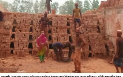 ৫ উইকেট নিয়ে ম্যাচ সেরা ইস্তি, সেমিফাইনালে ইয়াং স্টার ক্রিকেট একাডেমী