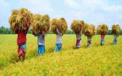 এলেঙ্গাতে ট্রাক চালককে মারধরের অভিযোগ