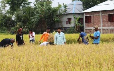 ঢাকা-টাঙ্গাইল মহাসড়কে ৫০ কি.মি. যানজট, দুর্ভোগে যাত্রীরা