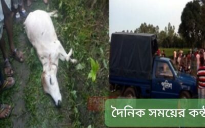 লালমনিরহাটে ৬৪০ পিছ ইয়াবা সহ নামধারী এক সাংবাদিক আটক